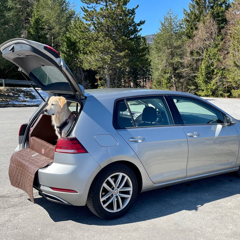 Hundetreffen-Gassi in und um Altomünster-Profilbild