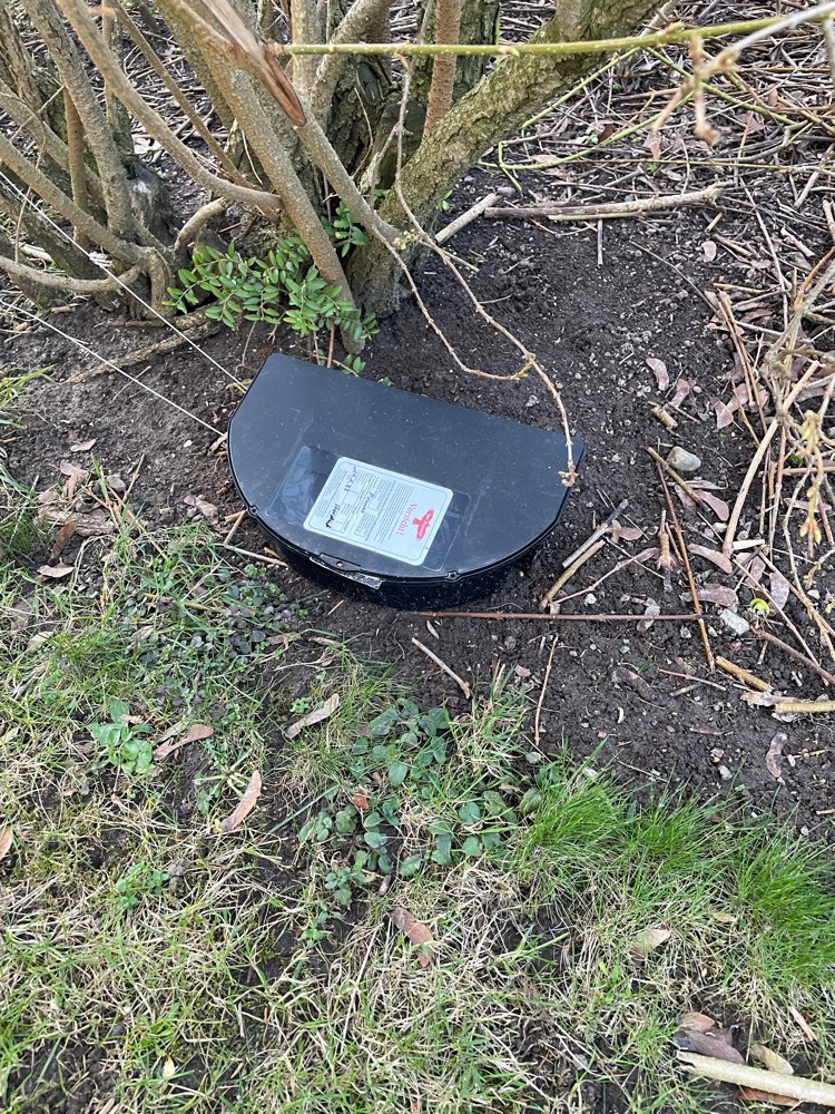 Giftköder-Rattengift im Gebüsch-Profilbild