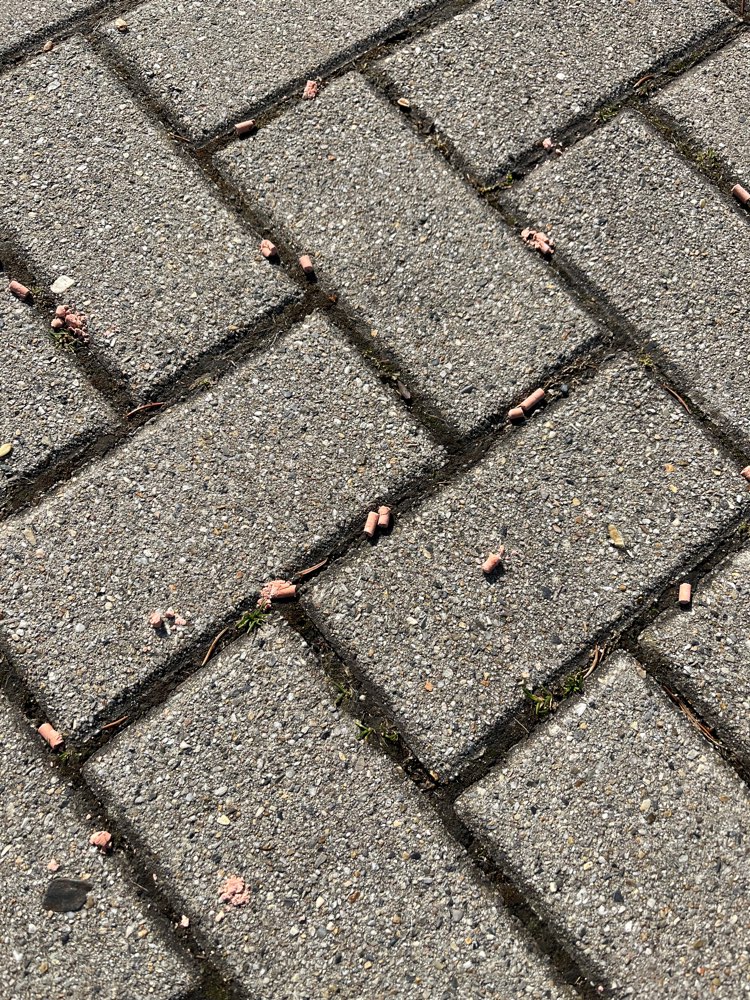 Giftköder-Evtl. Giftköder / Pellets-Profilbild