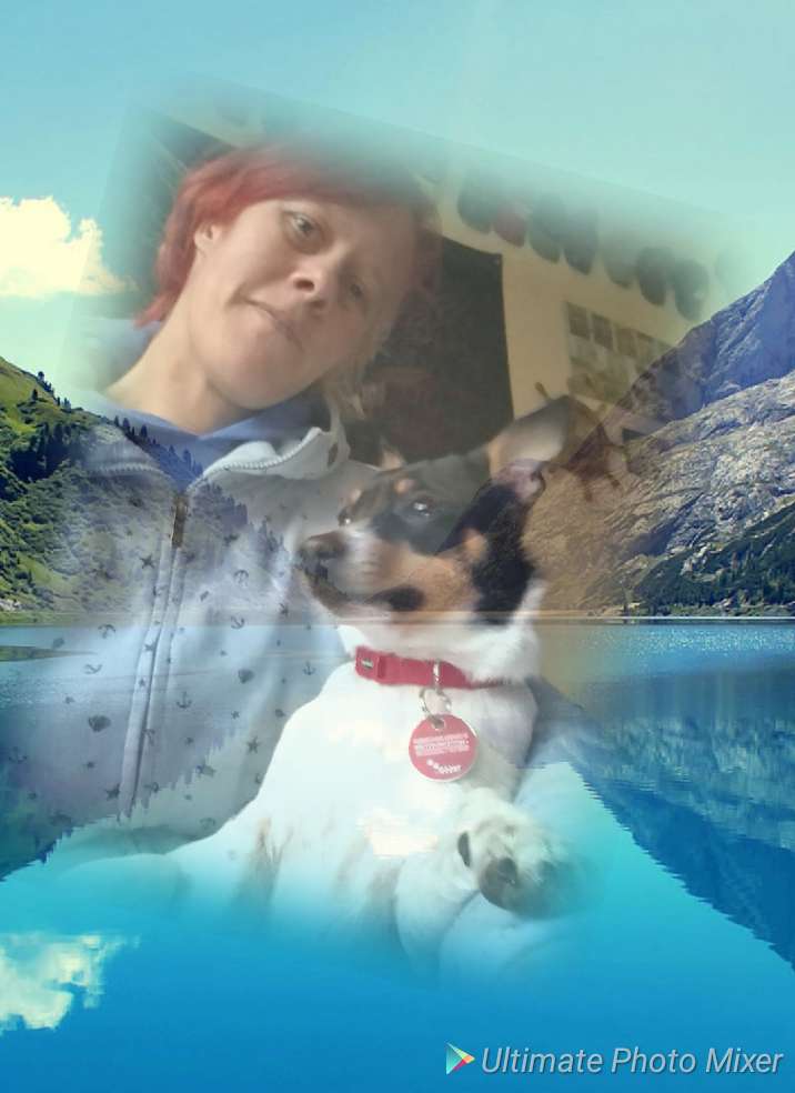 Hundetreffen-Spiel runde in Güstrow-Profilbild