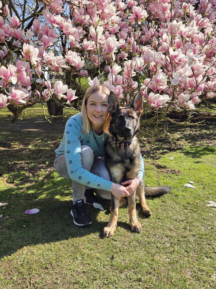 Hundetreffen-Trainingspartner Beschäftigungen gesucht-Profilbild