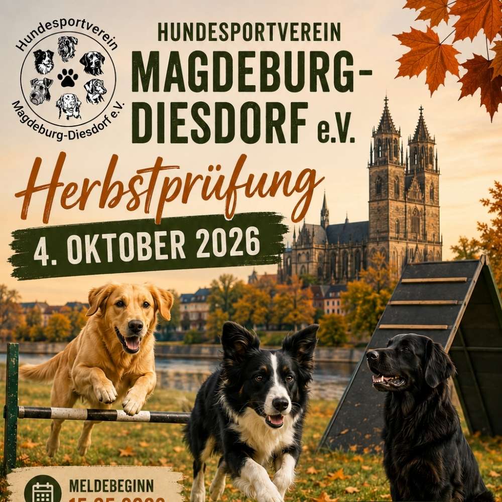 Hundetreffen-Herbstprüfung 🐾🍂-Profilbild