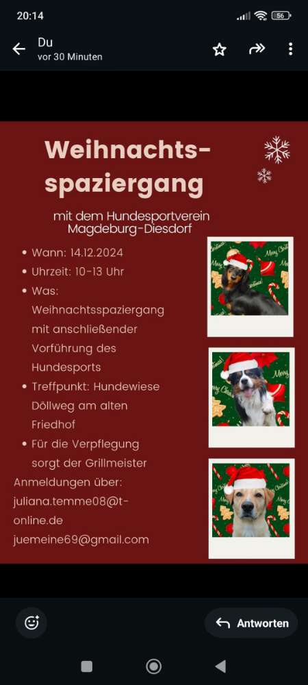 Hundetreffen-Weihnachtsspaziergang-Profilbild