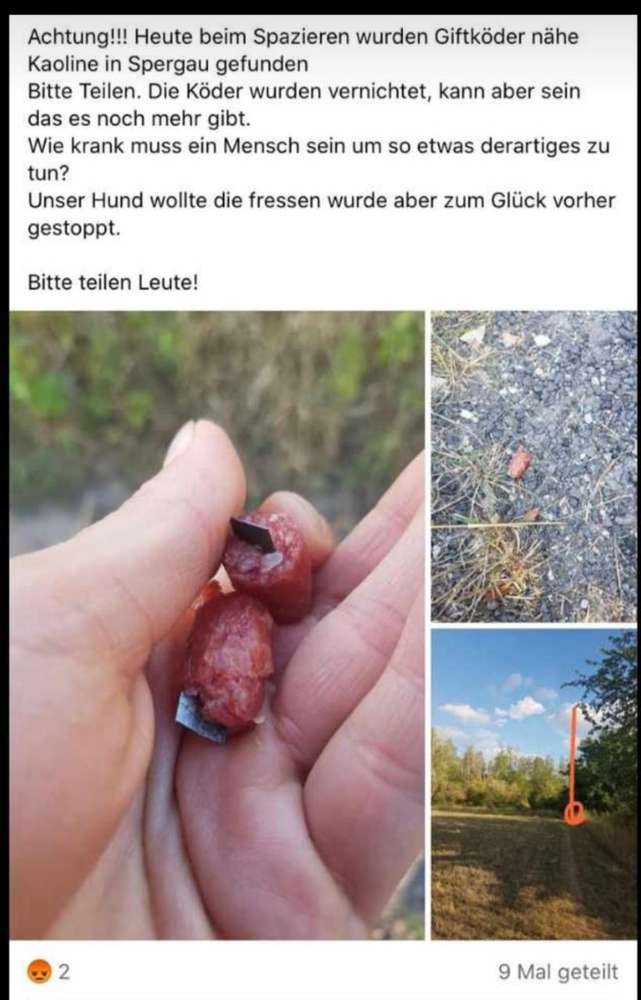 Giftköder-Salami mit Rasierklingen-Profilbild