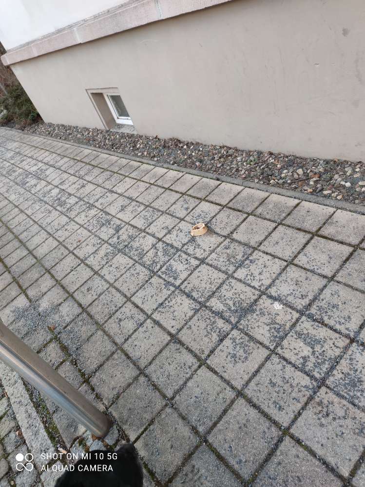 Giftköder-Markknochen-Profilbild