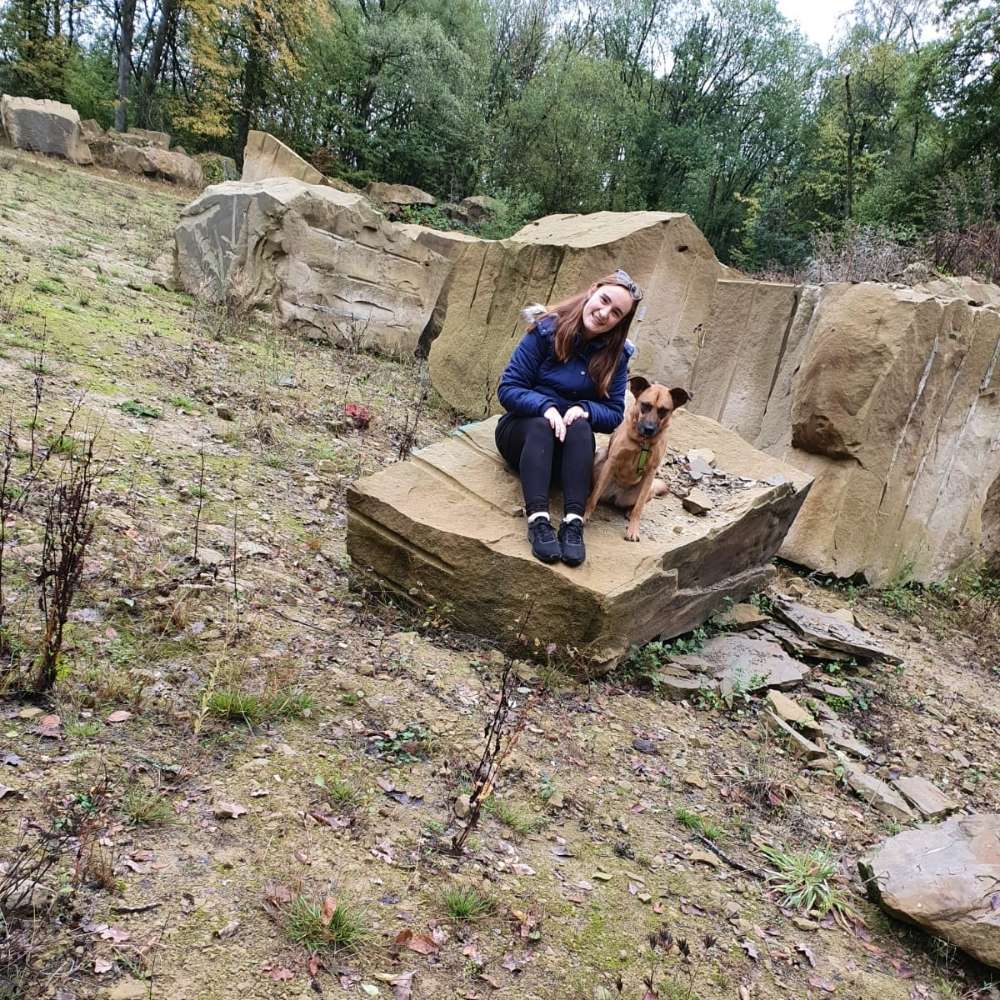 Hundetreffen-Spielkameraden,Wandern, Trainingspartner-Profilbild