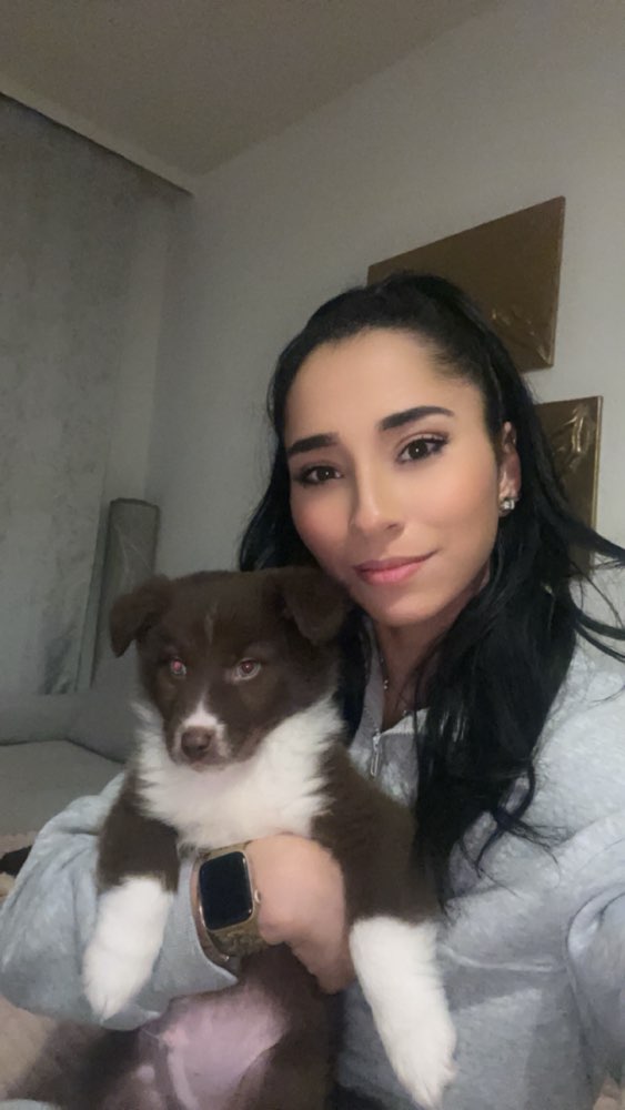 Hundetreffen-Welpentreff-Profilbild