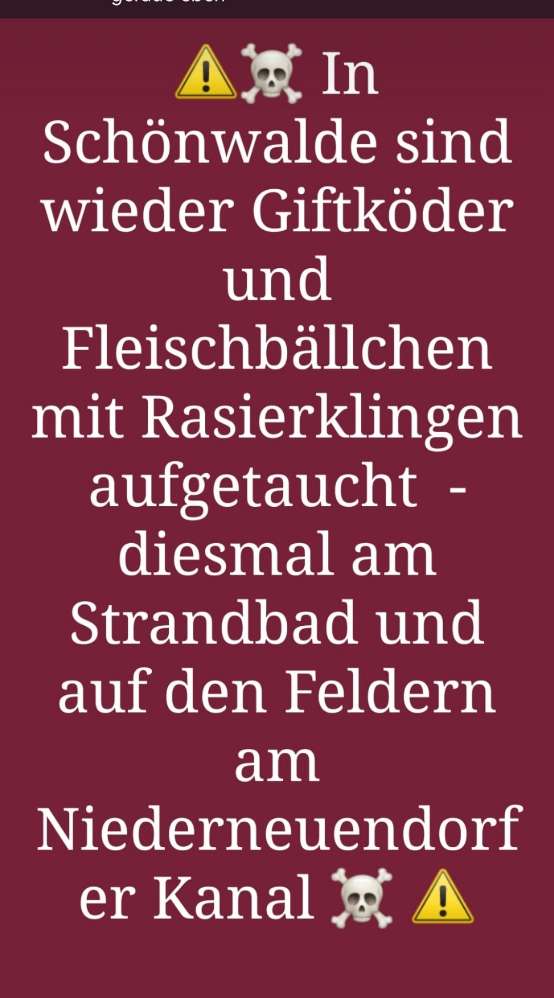 Giftköder-Noch mehr Fleischbällchen mit Rasierklin-Profilbild