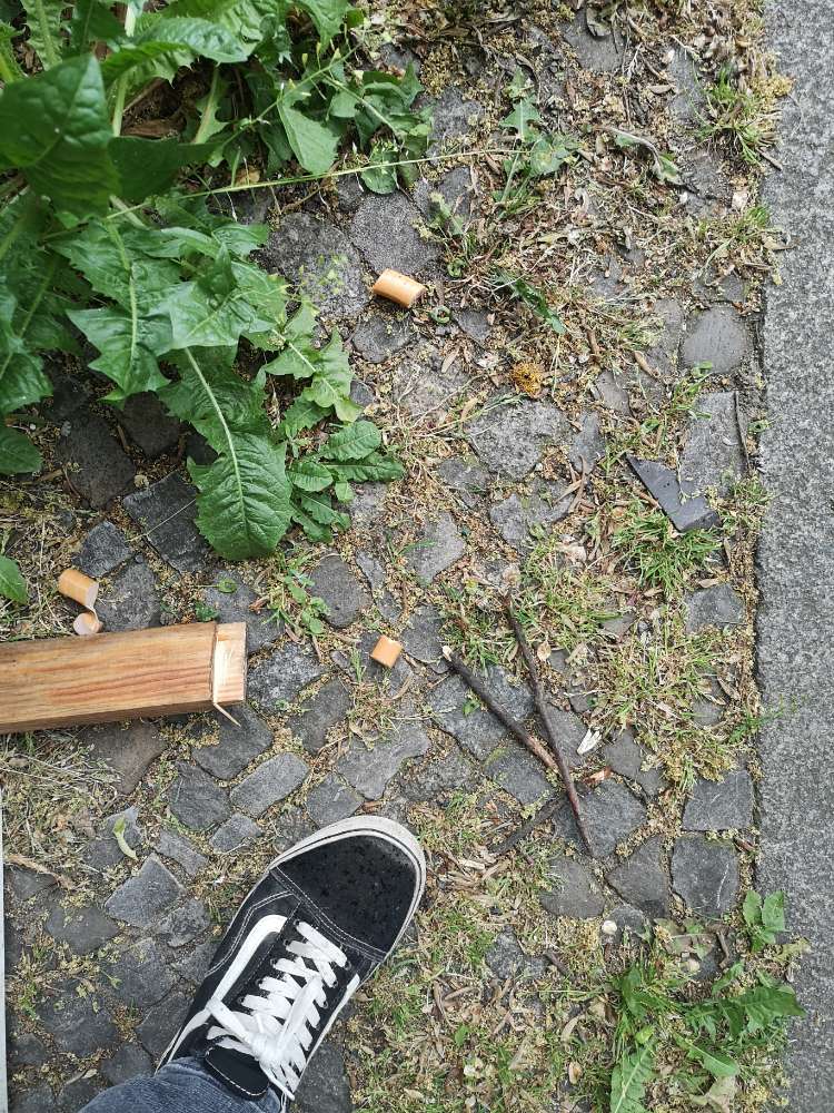 Giftköder-Wurst aus dem Auto auf Hund geworfen-Profilbild