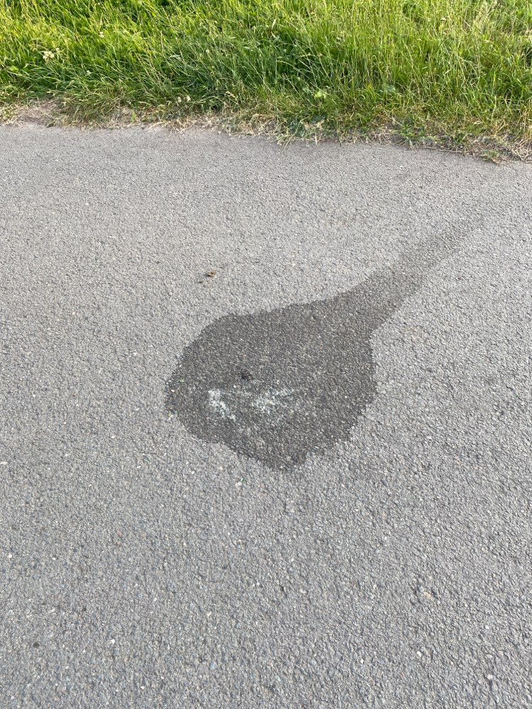 Giftköder-Glasscherben-Profilbild