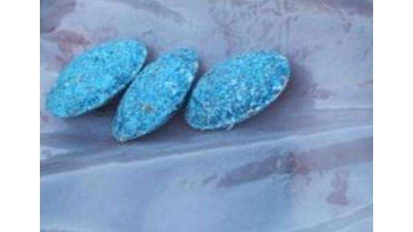 Giftköder-Rattengift-Profilbild