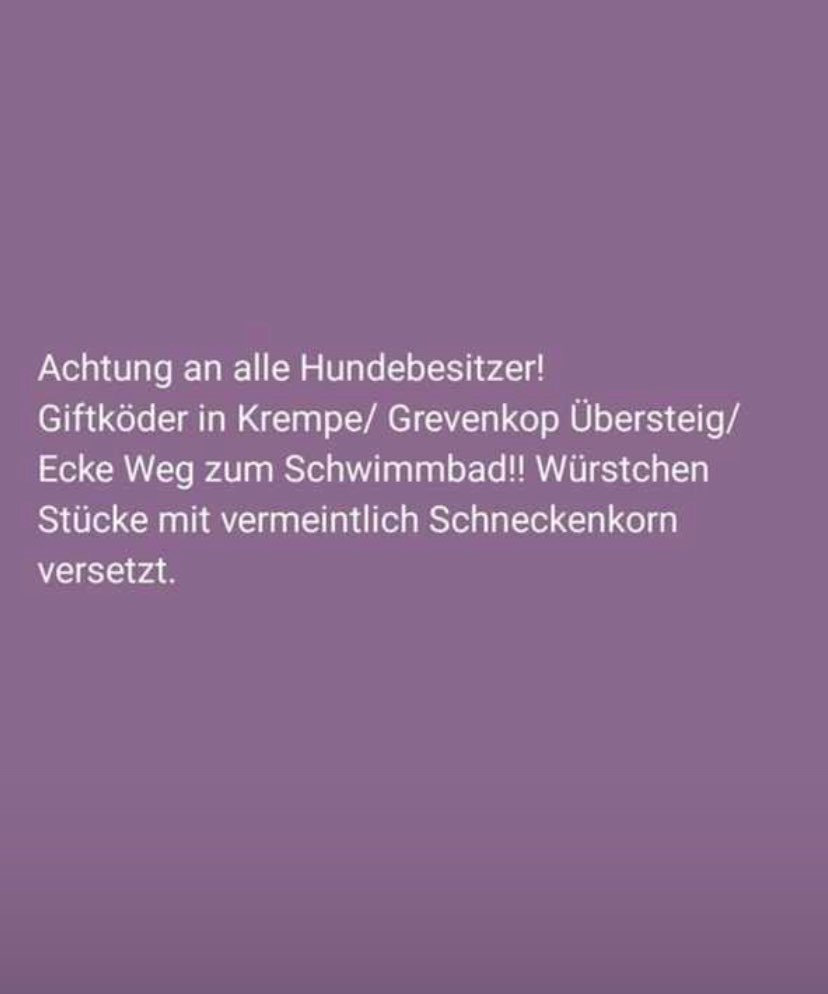 Giftköder-Giftköder-Profilbild