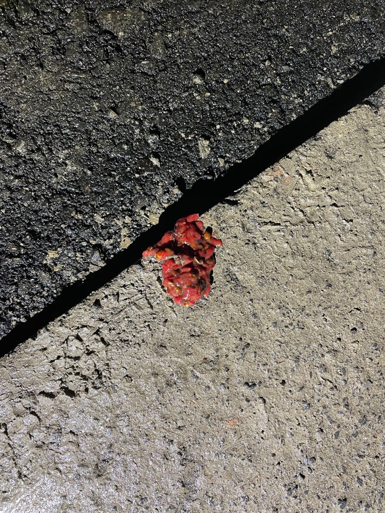 Giftköder-Achtung, Giftköder-Profilbild