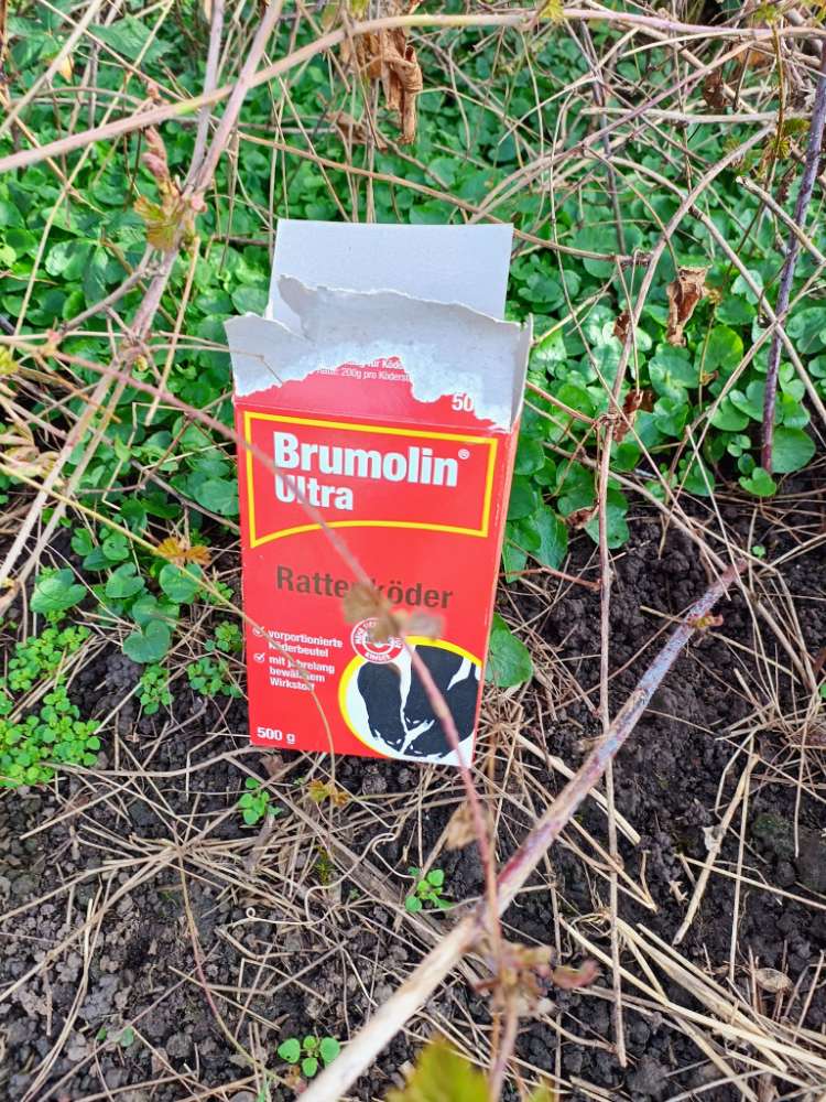 Giftköder-Rattengift ausgelegt-Profilbild