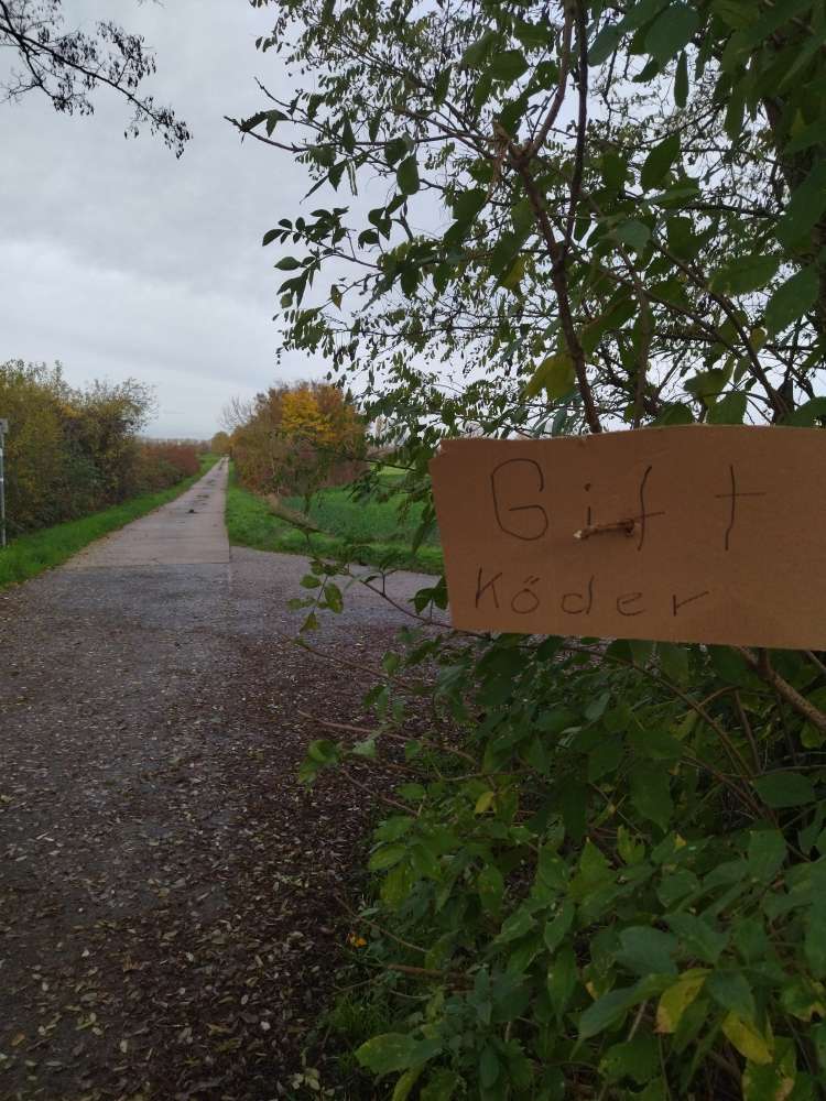 Giftköder-Schild warnt vor Giftköder-Profilbild