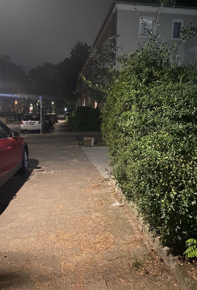 Giftköder-Weißes Pulver auf dem Gehweg-Profilbild