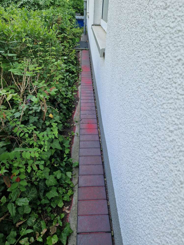 Giftköder-Rotes Kristall Pulver Gift?-Profilbild