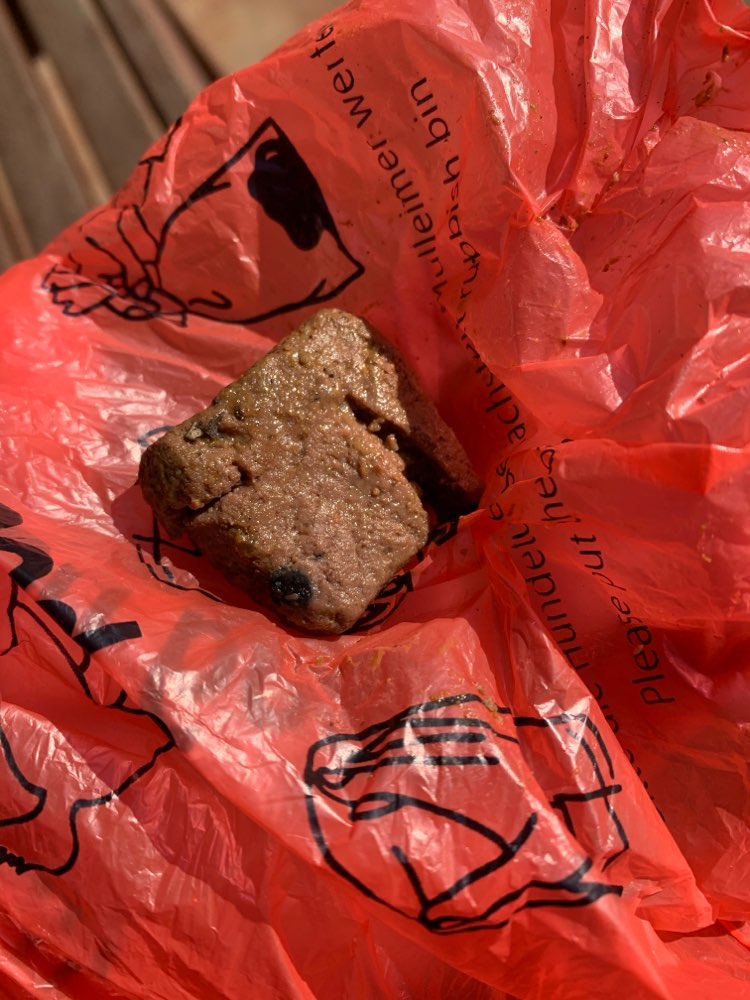 Giftköder-Eventuell Köder?-Profilbild