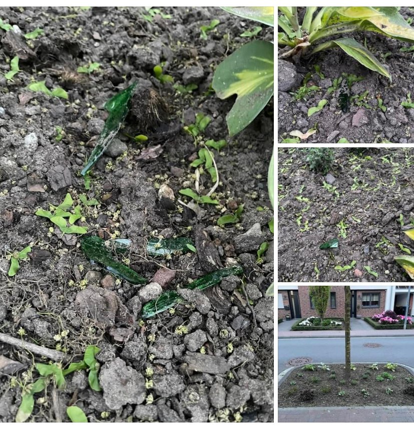 Giftköder-Glasscherben absichtlich plaziert?-Profilbild