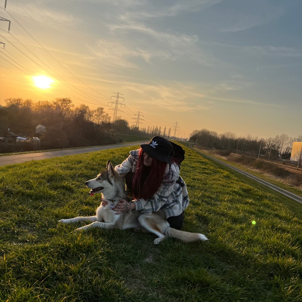Hundetreffen-Runde zum spielen-Profilbild