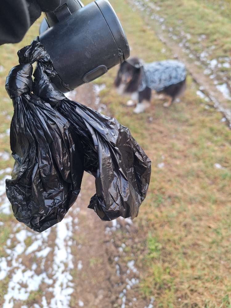 Giftköder-Wahrscheinlich Rattengift-Profilbild