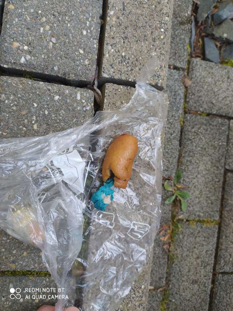 Giftköder-Giftköder.-Profilbild