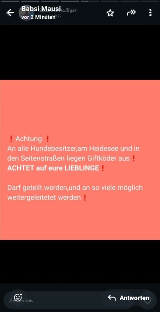 Giftköder-Giftköder-Profilbild
