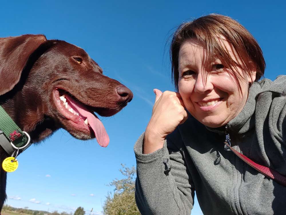 Hundetreffen-Gemeinsam Gassi gehn 🐕🐾🐾-Profilbild