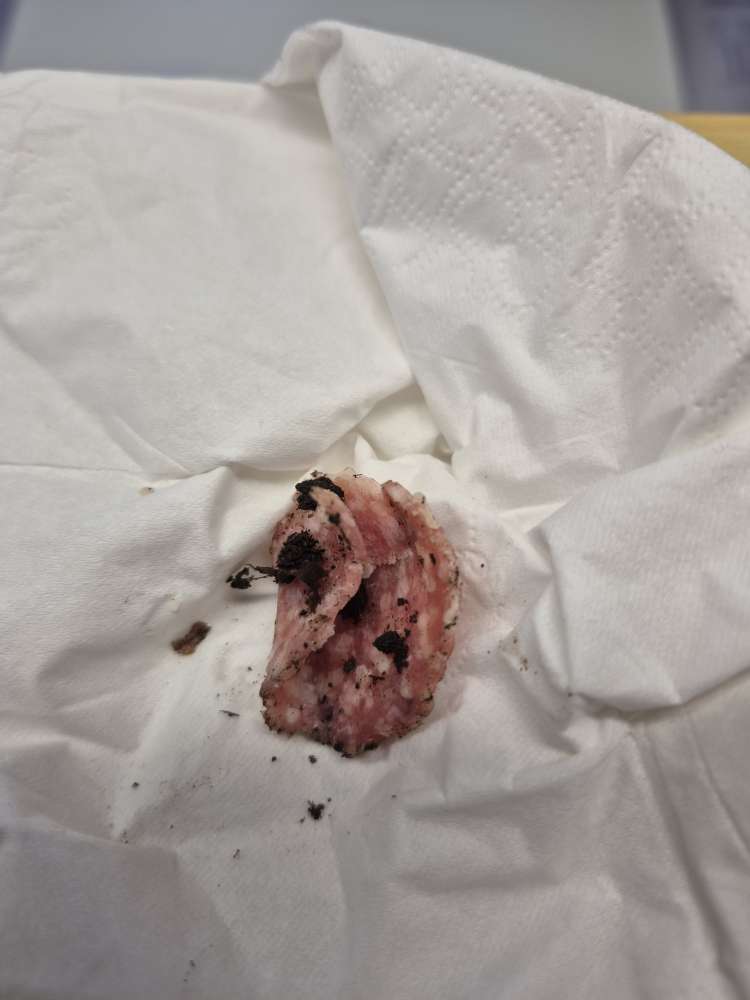 Giftköder-Eventuell Giftköder-Profilbild