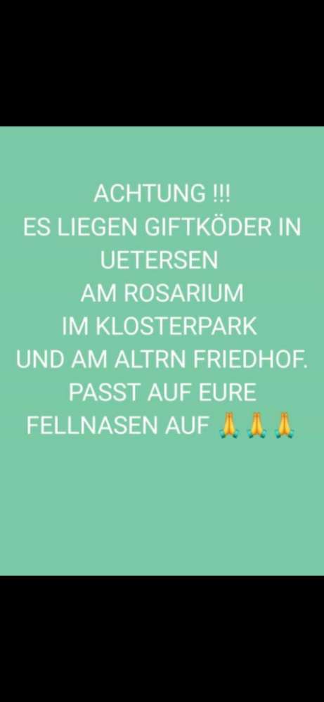 Giftköder-Giftköder-Profilbild
