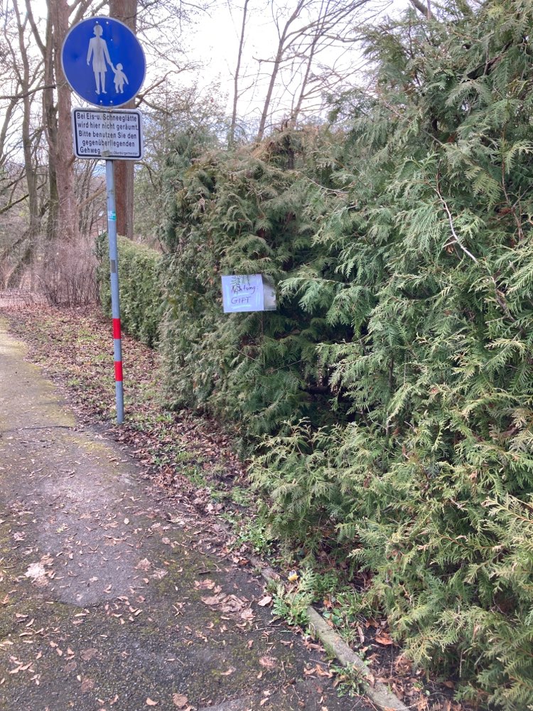 Giftköder-Giftköder-Profilbild