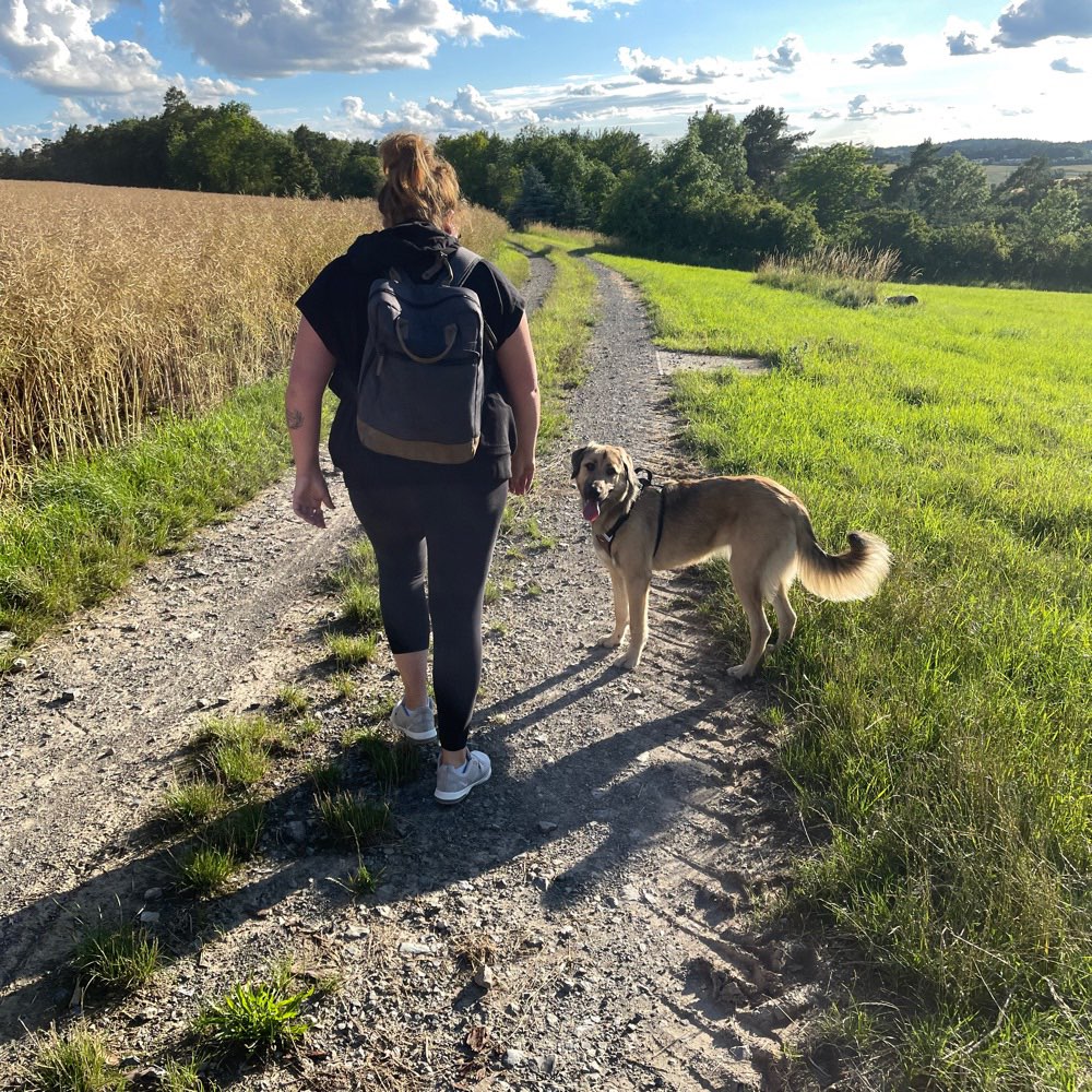 Hundetreffen-Hündin sucht Spielpartner-Profilbild