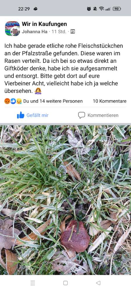 Giftköder-Rohe Fleischstücke evtl. Giftköder-Profilbild