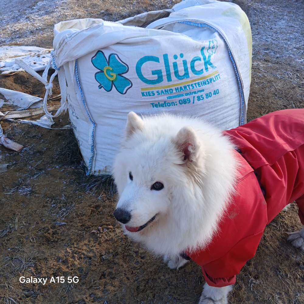 144. FarbenChallenge Banner