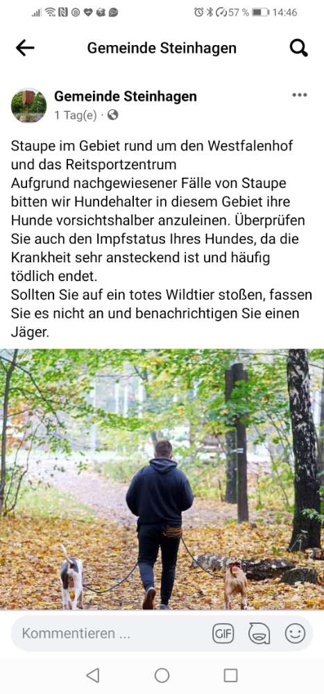 Giftköder-Gefahr wegen Staupe-Profilbild