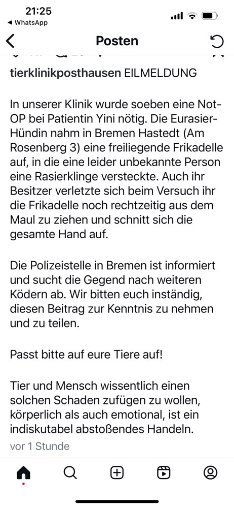 Giftköder-Frikadelle mit Rasierklingen-Profilbild