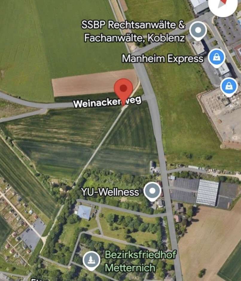 Giftköder-Leckerlie mit blauer Paste-Profilbild