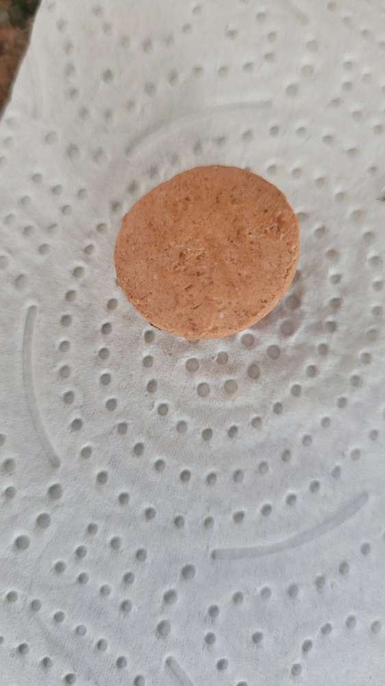 Giftköder-Selbstgebackene Leckerlies-Profilbild