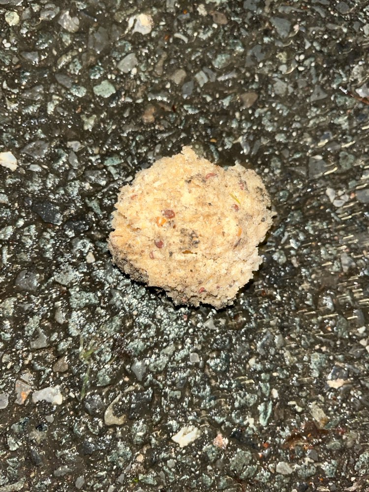 Giftköder-Knödelartiges-Profilbild