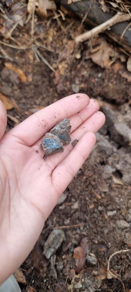 Giftköder-Möglicher Giftköder-Profilbild