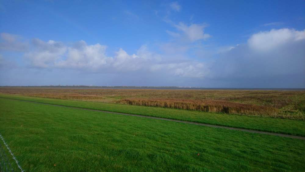 Hundetreffen-Gegenseitige Urlaubsbetreuung-Profilbild