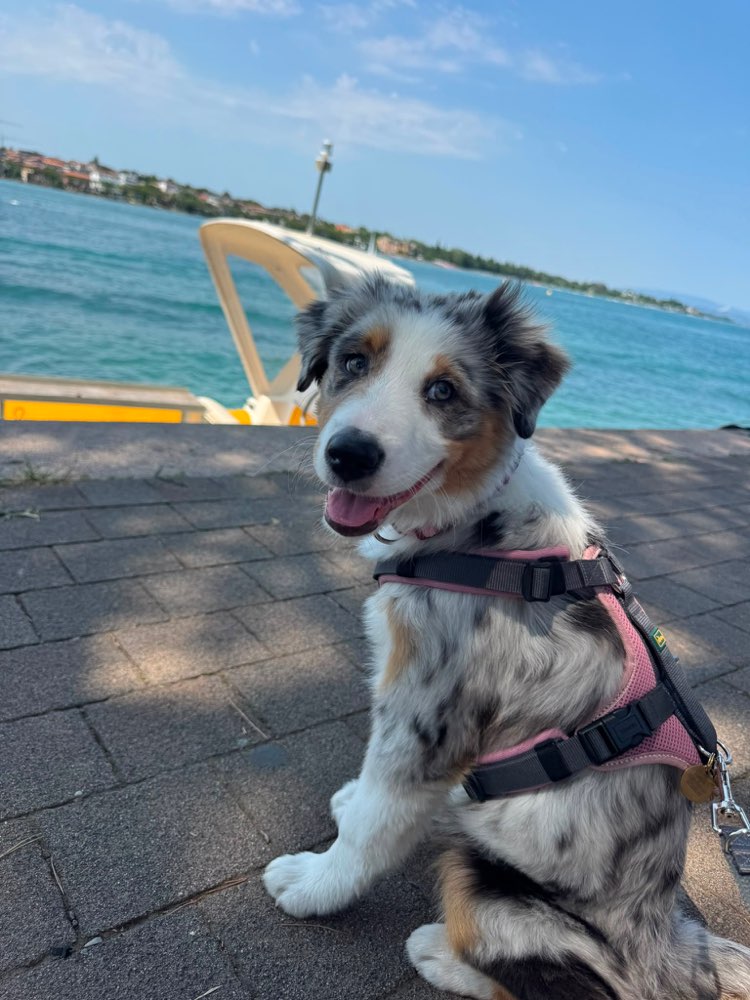 Suchmeldung-Skyla-Profilbild