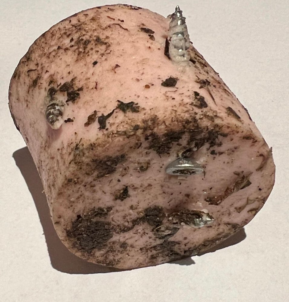 Giftköder-Fleischwurst mit Schrauben-Profilbild