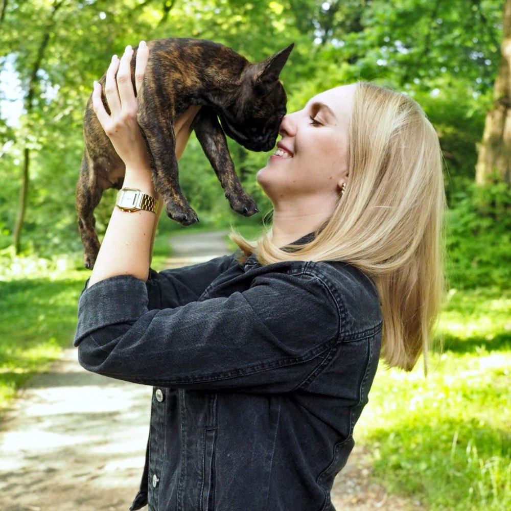 Hundetreffen-Gemeinsame Spiel- und Gassirunde an der Isar-Profilbild