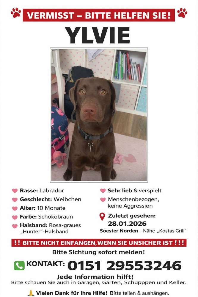 Suchmeldung-Ylvie-Profilbild