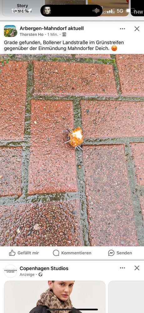 Giftköder-Giftköder-Profilbild