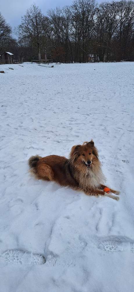 138. Videowettbewerb Banner