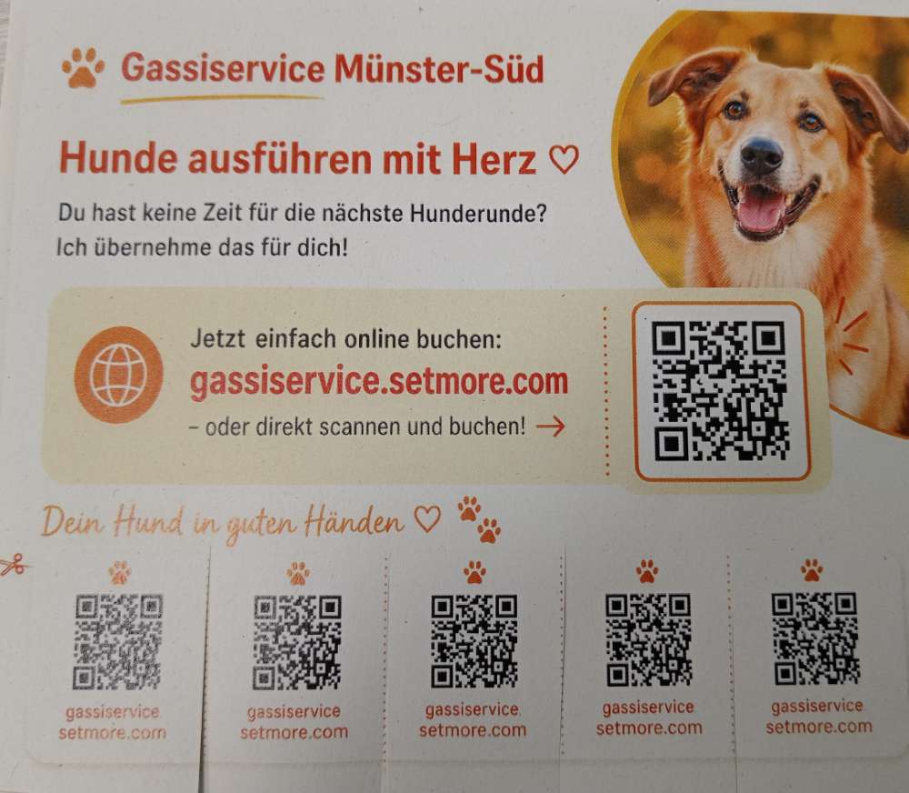 Hundetreffen-Gassi in Geist und Berg Fidel-Profilbild