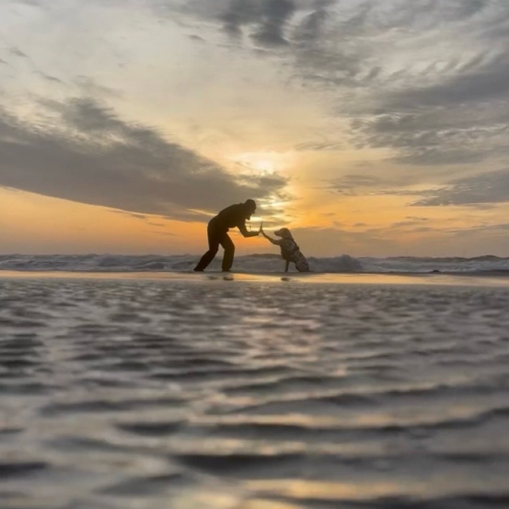 Hundetreffen-Sozial Walk-Profilbild