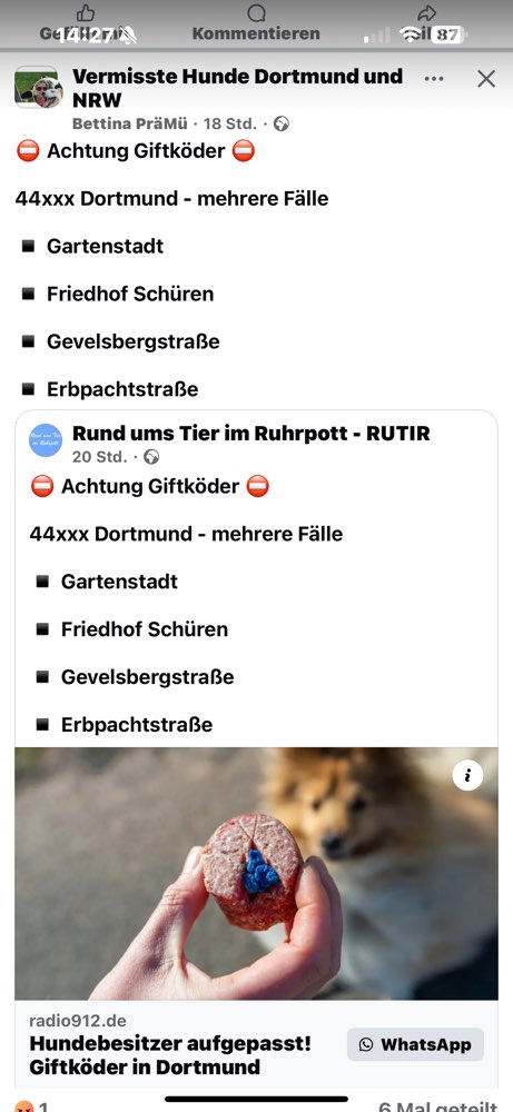 Giftköder-Es wurden Giftköder gefunden-Profilbild